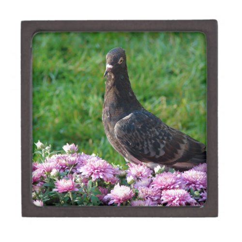 Pigeon and Mums Jewelry Box