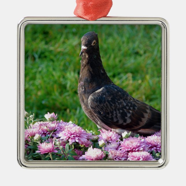 Pigeon and Mums Metal Ornament (Front)