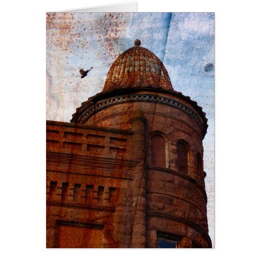 Pigeon and Rusty Building Roof Cards (Front)