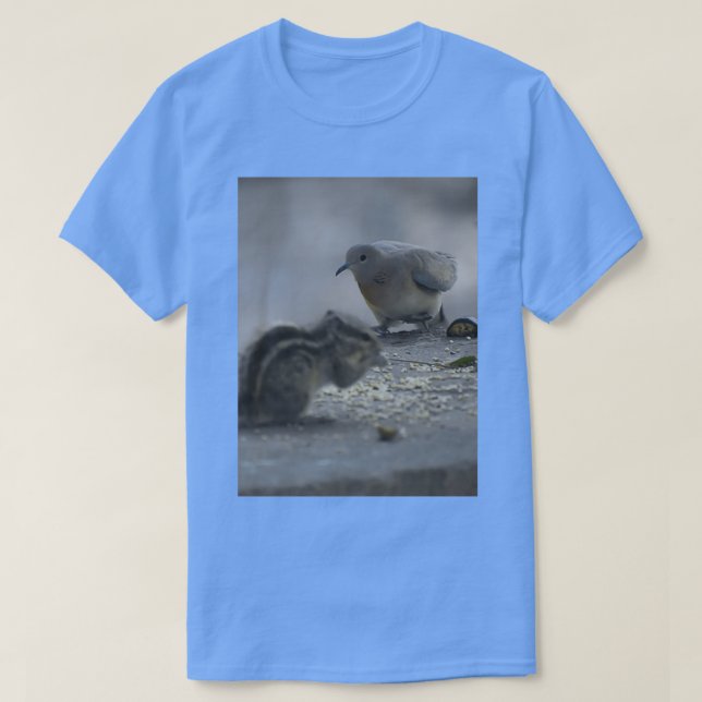 pigeon and Squirrel bonding 2 T-Shirt (Design Front)