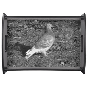 Pigeon at Roath Park Lake Cardiff (BW) Serving Tray