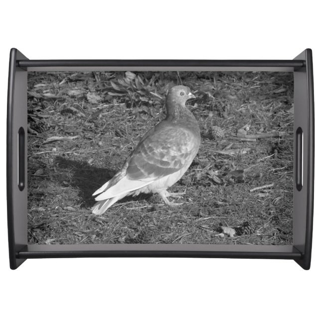Pigeon at Roath Park Lake Cardiff (BW) Serving Tray (Front)