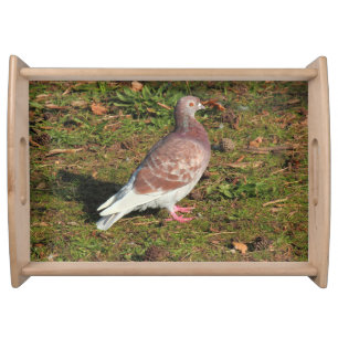 Pigeon at Roath Park Lake Cardiff Serving Tray