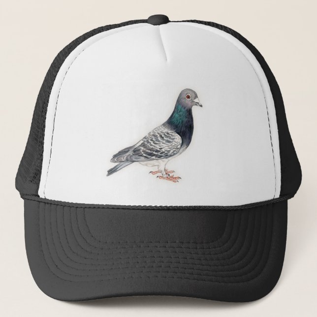 Pigeon Bird Art Hat (Front)