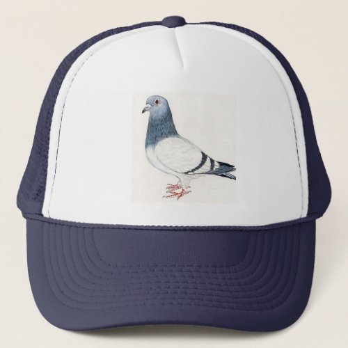 Pigeon Bird Art Hat