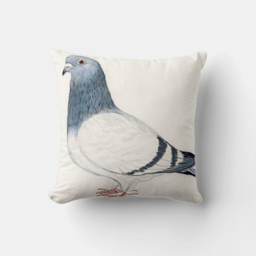 Pigeon Bird Art Throw Pillow