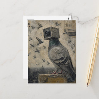 Pigeon Bird Camera Collage Postcard