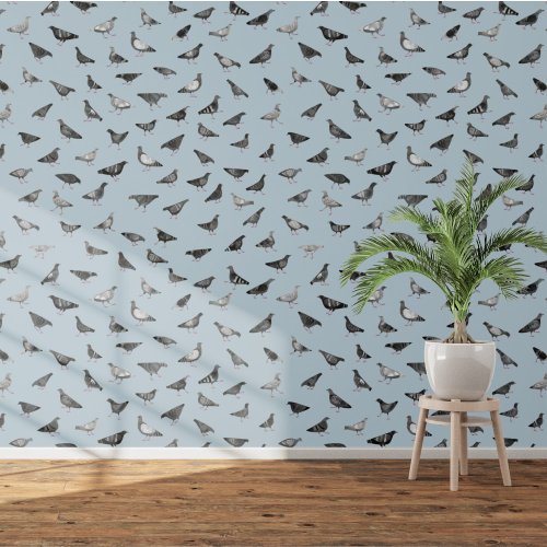 Pigeon Bird Wallpaper