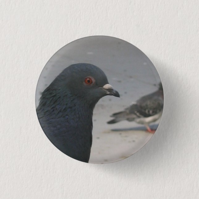 Pigeon Button (Front)