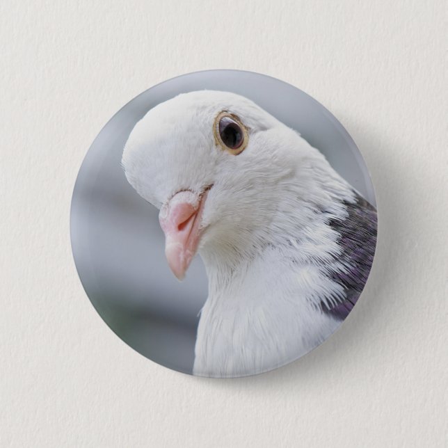 Pigeon Button (Front)