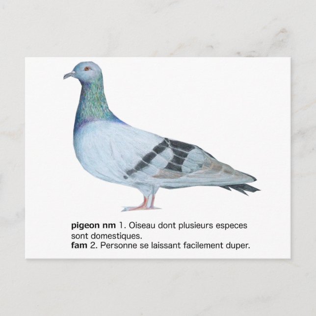 Pigeon by NuancesdePigeon T-shirts Postcard (Front)