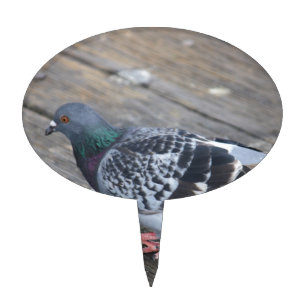 Pigeon Cake Topper