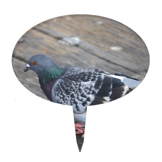 Pigeon Cake Topper (Front)