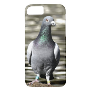 pigeon iphone 7 case pigeon iphone 7 case