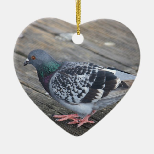 Pigeon Ceramic Ornament (Front)
