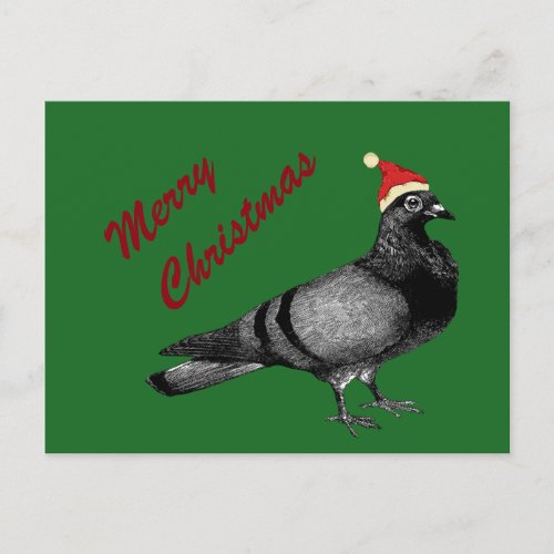 pigeon christmas holiday postcard