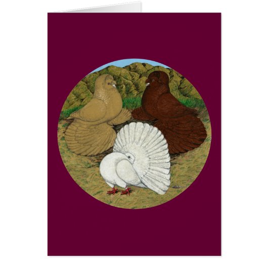 Pigeon Combo Cards (Front)