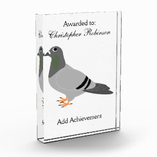 Pigeon Design Award