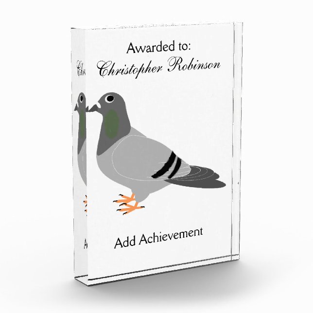 Pigeon Design Award (Left)