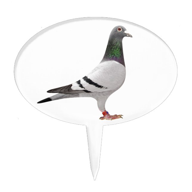 pigeon design cake topper (Front)