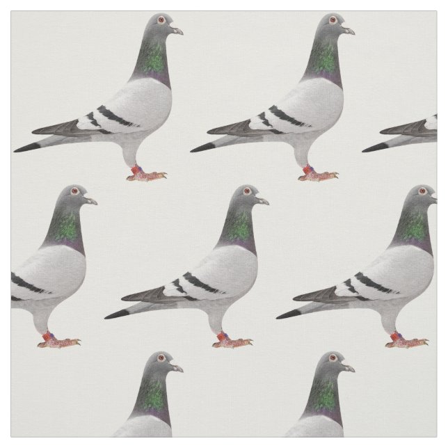pigeon design fabric (Swatch)