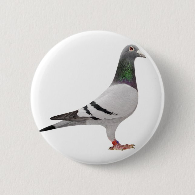 pigeon design pinback button (Front)