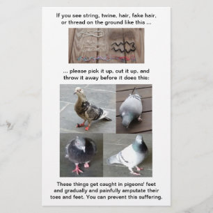Pigeon Foot Injury Rescue Customizable Vertical Flyer