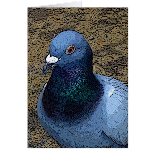 Pigeon graphic art card