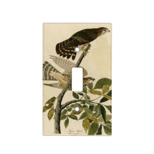 Pigeon Hawk (Merlin) - Audubon's Birds of America Light Switch Cover