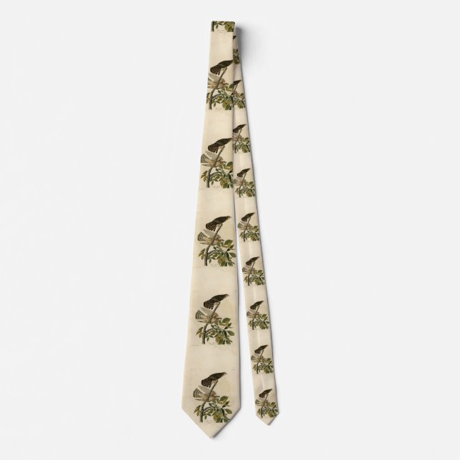 Pigeon Hawk (Merlin) - Audubon's Birds of America Neck Tie (Front)