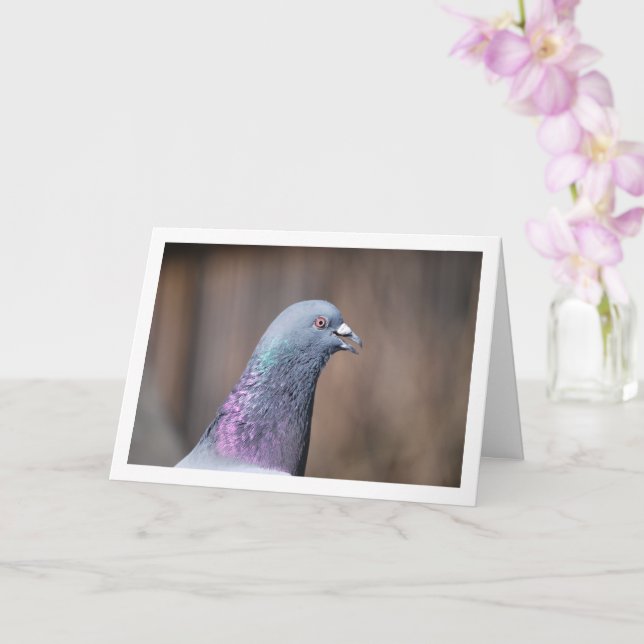 Pigeon Head Portrait Card (Orchid)