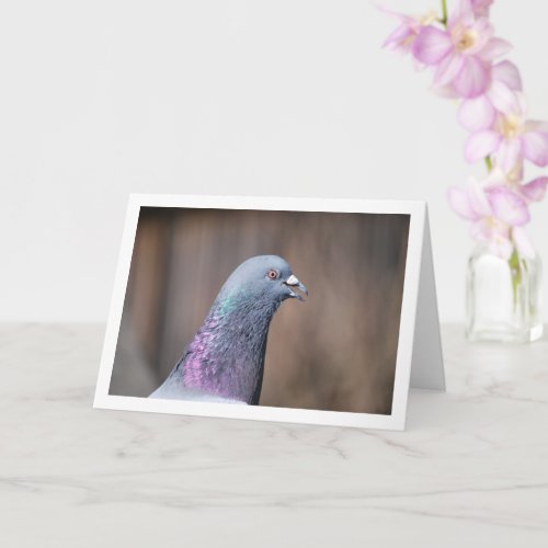 Pigeon Head Portrait Card