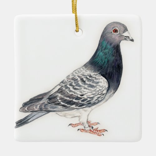 Pigeon II Bird Art Ornament