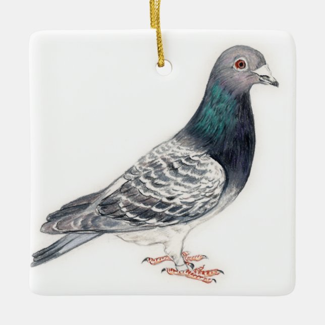 Pigeon II Bird Art Ornament (Front)