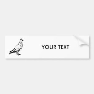 Pigeon Illustration Bumper Sticker