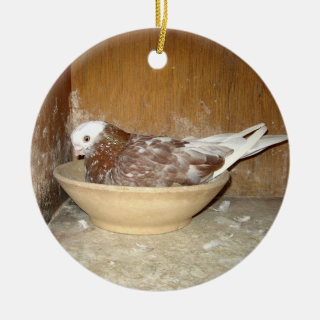 Pigeon in Her Nest Bowl Ornament (Front)