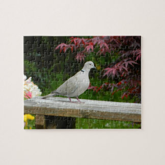 Pigeon Jigsaw Puzzle