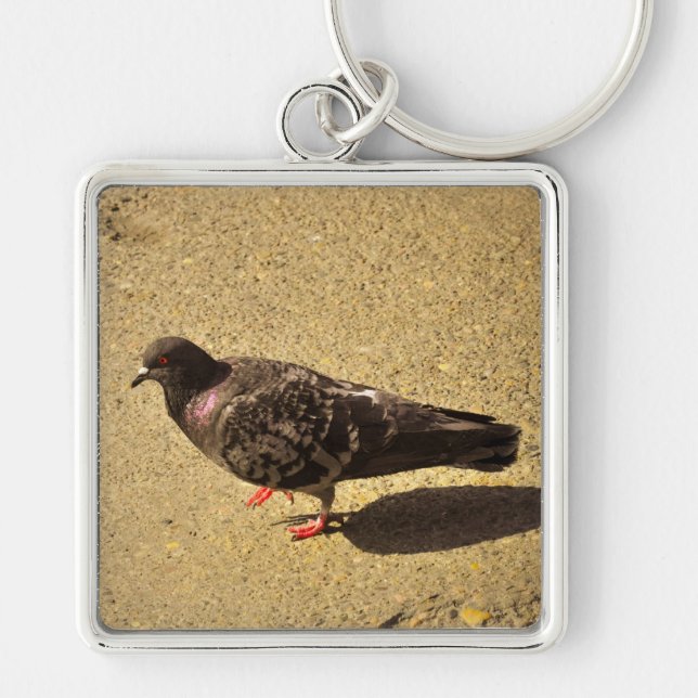 Pigeon Keychain (Front)