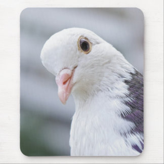 Pigeon Mouse Pad