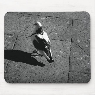 Pigeon Mousepad