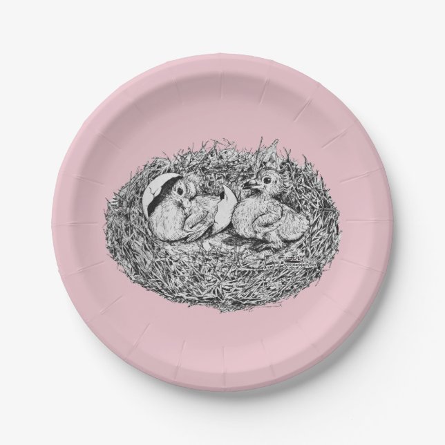 Pigeon Nest Babies Paper Plates (Front)