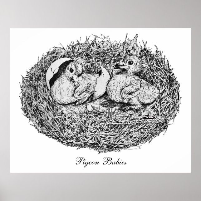 Pigeon Nest Babies Poster (Front)