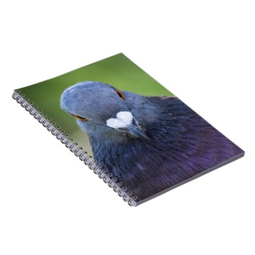 Pigeon  notebook