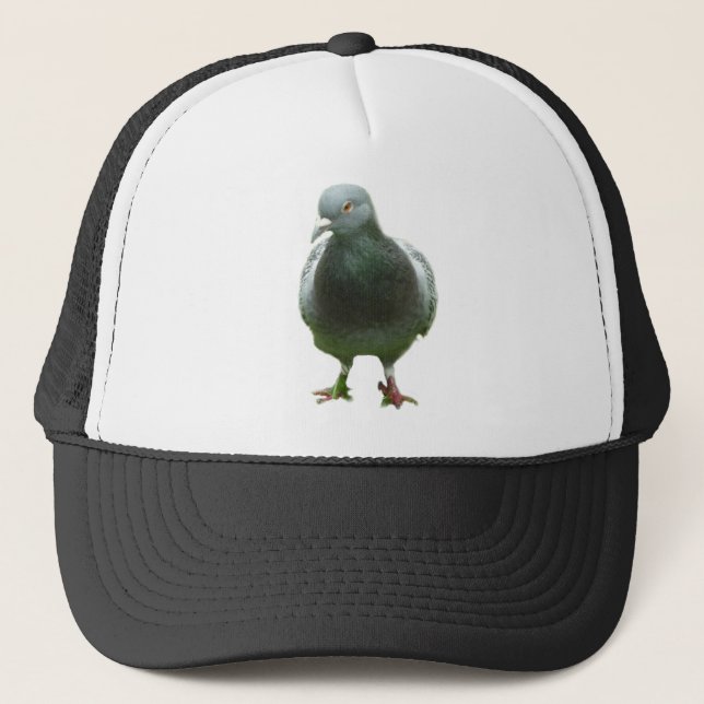 Pigeon on a hat (Front)