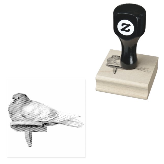 Pigeon on a Shelf Bird Vintage  Rubber Stamp (Stamped)