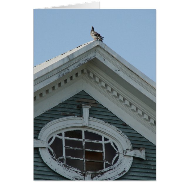 Pigeon on Old House Cards (Front)