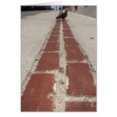 Pigeon On the Freedom Trail (Front)