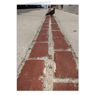 Pigeon On the Freedom Trail Cards