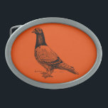 Pigeon Oval Belt Buckle<br><div class="desc">Black and white drawing of a domestic pigeon</div>