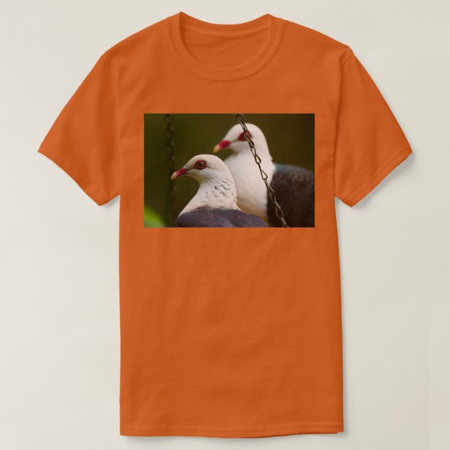 Pigeon Pair 3 T-Shirt (Design Front)